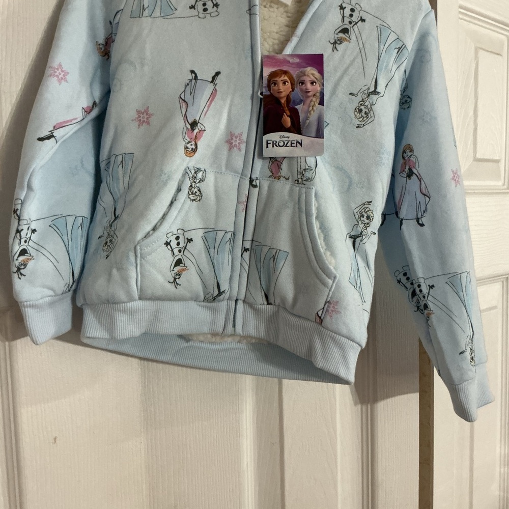 Frozen Light Blue Hoodie with Characters